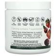 thumbnail image 2 of Eclectic Herb Nutrigenomic Super Berry Powder, 3.2 oz (90 g), 2 of 4