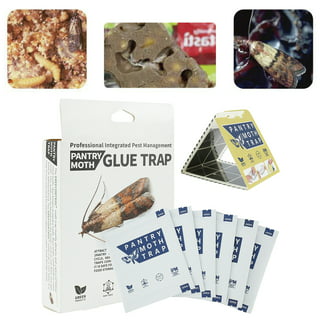 Pantry Moth Trap (20 pcs) – Trap a Pest