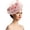 PK1, variant on SRZYMJ Floral Wedding Hat for Womens Tea Party Fascinators Kentucky Derby Hats