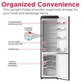 thumbnail image 3 of Frigidaire 9.0 Cu. ft. Bottom Mount Retro Refrigerator, Apartment Size Compact Fridge in Black, 3 of 12