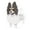 B, variant on LYINGF 1PC Flower Pot Dog Poodle Chihuahua Cute Animal Planters Flower Pot Dog Planter Storage Containers Dog Planters Garden Pet Dog Storage Pots Decorative Ornaments Animal Shaped