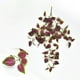 thumbnail image 1 of Adorno de pared verde artificial, adorno de pared con flores de plástico, decoración de pared verde artificial, arte de pared con plantas de hojas grandes, decoración fácil para el hogar,, 1 of 8