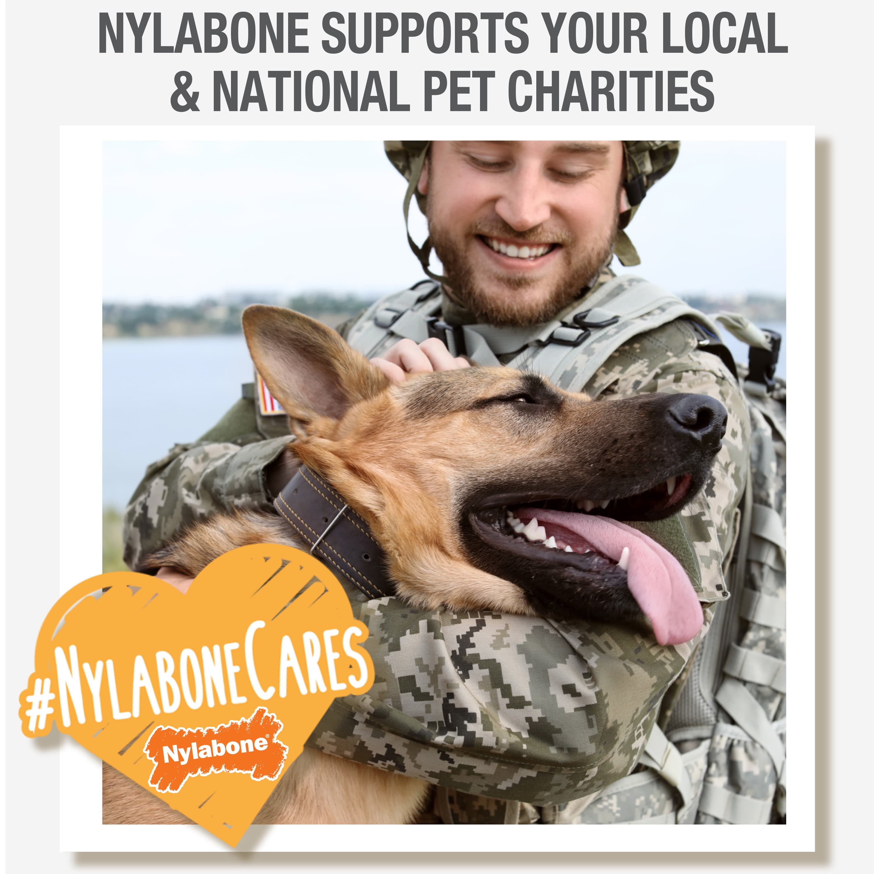 Nylabone Cares  Donating to Dog Shelters
