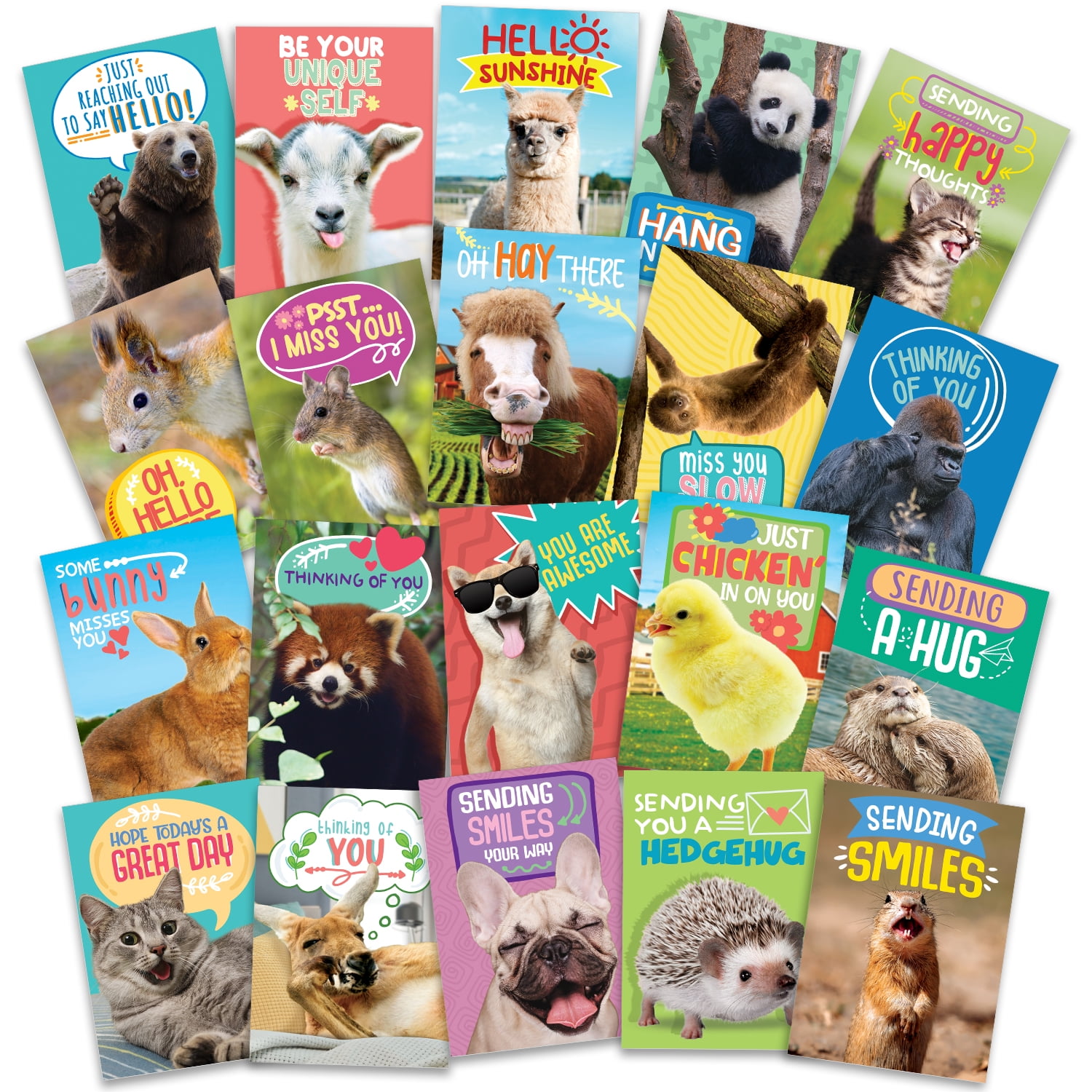 40 Funny Animal Postcards Bulk Thinking of You Postcard Pack for Kids