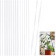 thumbnail image 1 of 40 unidades de tutores acrílicos para orquídeas, tutores para plantas, varillas de soporte para macetas, soportes sólidos para plantas., 1 of 6