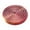 Brown, variant on TIELUTT Ring Toy for Adults & Teens | Rotating Stress for Focus Anxiety and Relaxation | Compact EDC Desk Keys for Talking Dogs Game for 2 Years Old Girl Female Months Jokes Carnival Children's Carpet