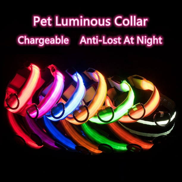 Nylon LED Pet Dog Collar USB Charging Dog Safety Night Light AntiLost