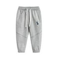 thumbnail image 2 of Pantalons de Jogging pour Garçons de 1 à 9 Ans Bas Resserré Pantalons Dinosaurs Enfants Automne Doublés Pantalons d'Entraînement avec Ceinture Réglable, 2 of 9