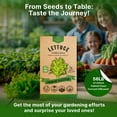 thumbnail image 3 of Organo Republic Lettuce Oakleaf Seeds – 800+ Non-GMO Heirloom Seeds, 1G Packet for Planting Greens Indoors & Outdoors, Tender Leafy Lettuce for Home Garden, 3 of 6