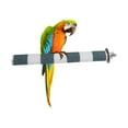thumbnail image 3 of DOLITY Bird Parrot Cage Perch -Surface Stand Toy Molar Grinding Branch for Green 2.5x20cm, 3 of 9