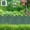 Green, variant on Garden Edging Borders, 9.8 Inch Tall Landscaping Edging, Interlocking Decorative Garden Fences, No Dig Plastic Lawn Edges Flower Beds Barriers, for DIY Patio Pathway