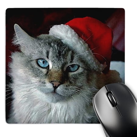 3dRose  Christmas Cat  MousePad price history on PriceWatchPro