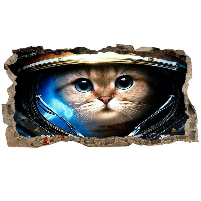 astronaut cat wallpaper