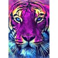 thumbnail image 1 of Drill Diamond Painting (DF3532) 5D DIY Kit de bordado de punto de cruz completo (Tiger05) 50x70cm Hugtrwg Para estrenar, 1 of 1