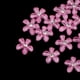 thumbnail image 4 of 20 adornos de resina con forma de botón plano y flores de boda para particulares Rosado, 4 of 9