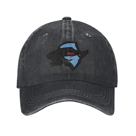 Dallas Renegades Hat Washed Cotton Baseball Cap