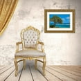 thumbnail image 3 of Engelbrecht, Lisa S. 14x11 Gold Ornate Wood Framed with Double Matting Museum Art Print Titled - Tree overlooking Poipu Bay-Kauai-Hawaii-USA, 3 of 4