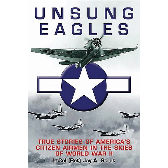 Unsung Eagles: True Stories of America's Citizen Airmen in the Skies of World War II (Paperback)