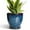 Blue-glaze, variant on Stillaflora 6 inch Indoor Ceramic Planter with Drainage,Gifts for Plant Lovers