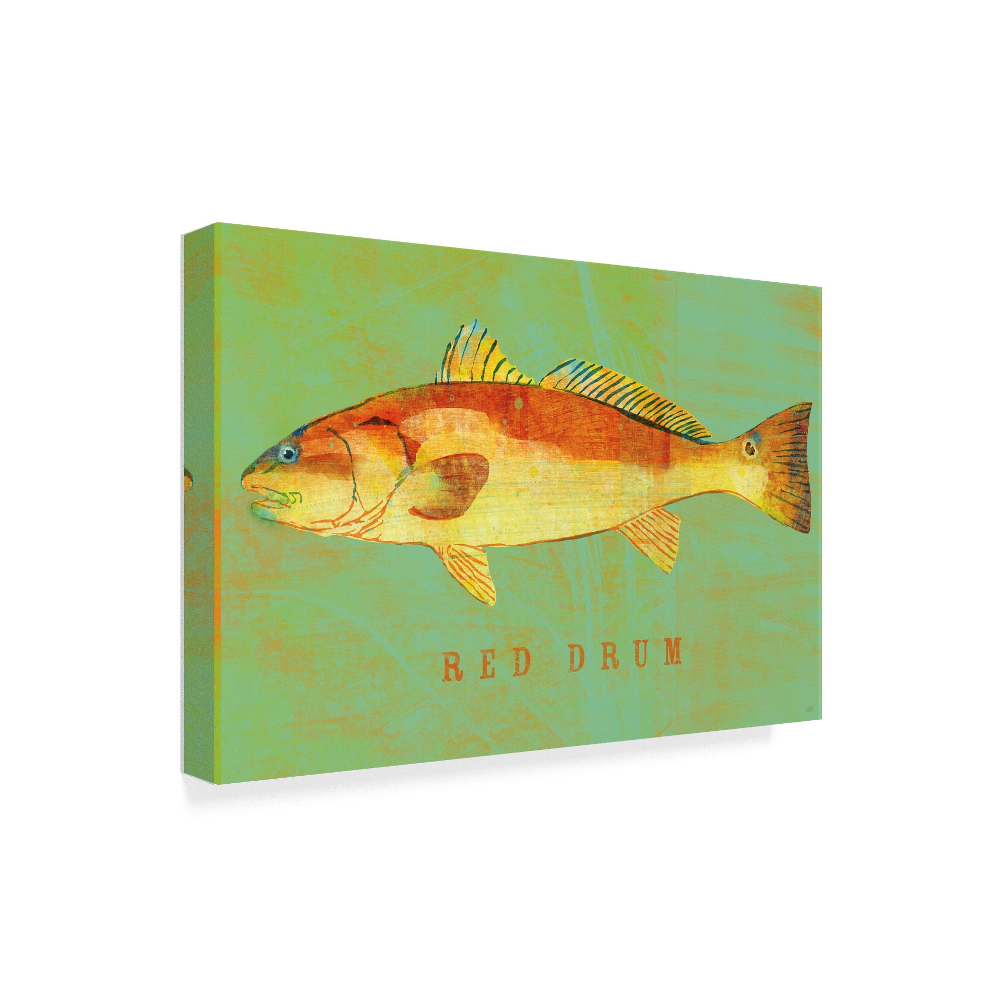 Trademark Fine Art 'Red Drum' Canvas Art by John W. Golden