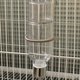 thumbnail image 5 of Soporte de resorte de acero inoxidable | Accesorios de soporte fijo para botella de agua y jaula para mascotas | Muelle duradero de 7,8 cm | 13cm Longitud total | Montaje seguro | Flexible | Paquete, 5 of 8