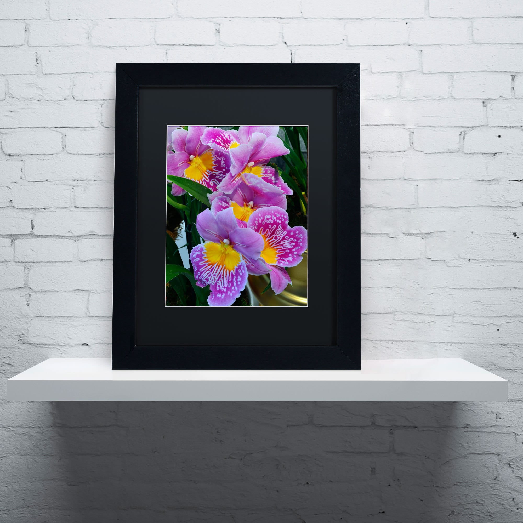Trademark Fine Art "Happy Orchids" Canvas Art by Kurt Shaffer, Black Matte, Black Frame