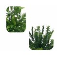 thumbnail image 3 of Simulación de plantas artificiales flor artificial planta en maceta simulación planta verde flor decoración del hogar planta de simulación bonsai decoración de ventanas simulación planta en maceta (AHE366-062) ILoveMilan JM, 3 of 5