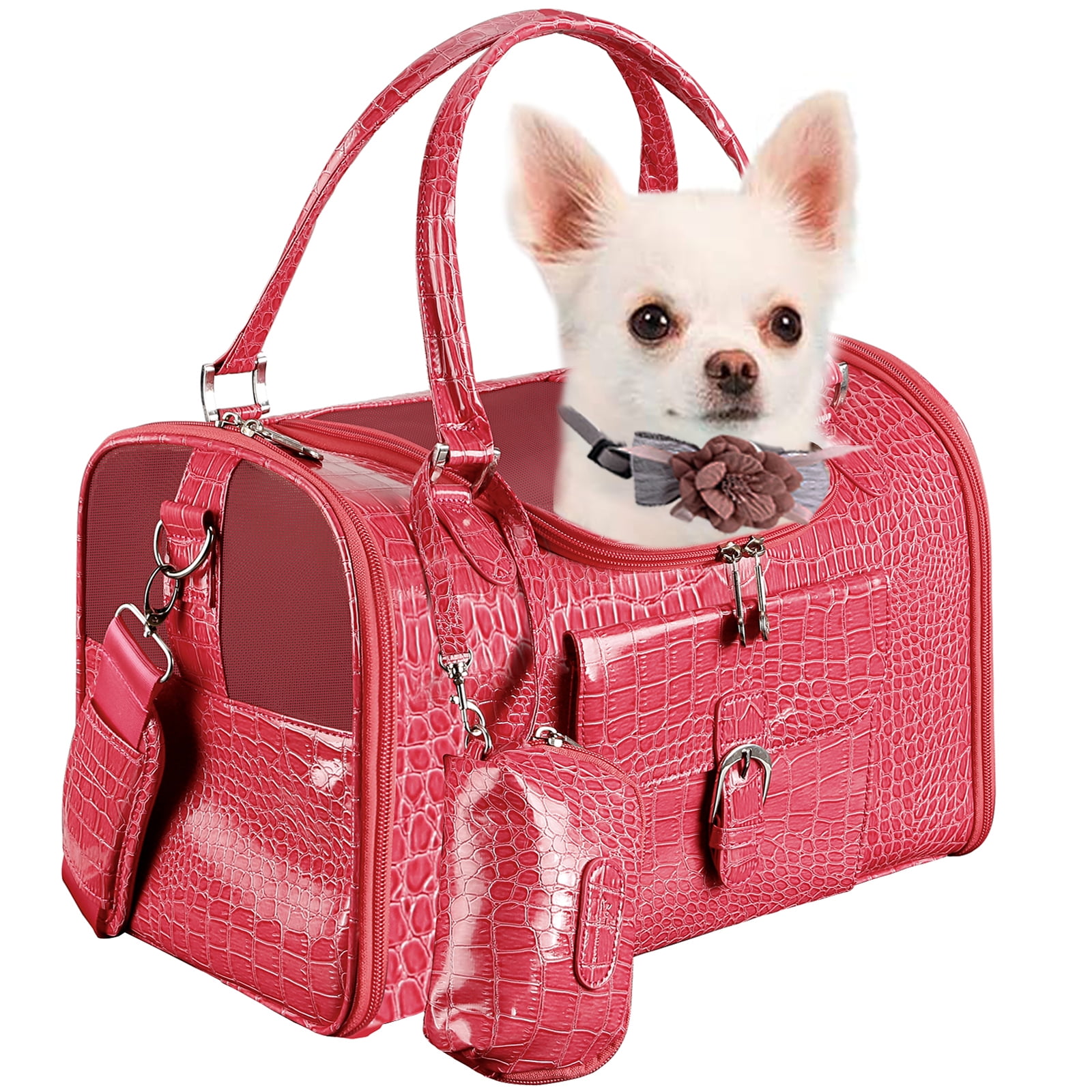Luxury Dog Accessories, Carriers and Toys | Teddy Maximus
