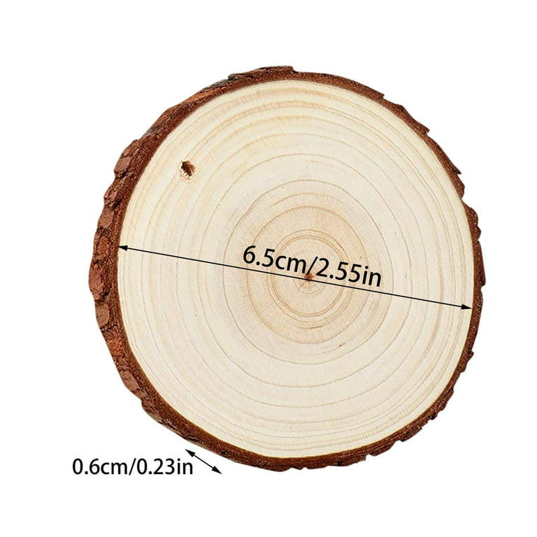 Natural Wood Slices - 10 Pcs 0.23-2.6 Inches Craft Unfinished Wood Kit  Predrilled With Hole Wooden Circles For Arts Wood Slices A 