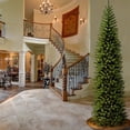 thumbnail image 2 of National Tree 10 Foot Kingswood Fir Pencil Tree (KW7-500-100), 2 of 6
