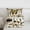 Beige 01, variant on Feelyou Hippie Tribal Butterfly Full Size Comforter Sets, Cartoon Jungle Mushroom Bedding Comforter Set, Rustic Groovy Sunflower Reversible Bedding Sets, Super Cozy Room Decor, 3pcs