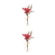 thumbnail image 3 of Cateissary Durabilidad y encanto duraderos en ramo de flores secas naturales flor en relieve elegante HS-21, 3 of 6