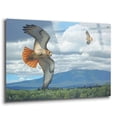 thumbnail image 2 of Epic Art 'Soaring Over the Pines - Red-tailed Hawks' by Mark Mueller Wildlife Art, Acrylic Glass Wall Art, 36"x24", 2 of 8