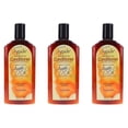thumbnail image 5 of Agadir Argan Oil Daily Moisturizing Conditioner 12.4 oz (Pack of 3), 5 of 7