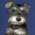 thumbnail image 2 of CafePress - Miniature Schnauzer Maternity Dark T Shirt - Maternity Dark T-Shirt, 2 of 3
