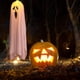 thumbnail image 3 of Fantasmas de luces de Halloween, luces LED, luces colgantes de fantasmas, iluminación para ventanas de fiesta en el jardín de Halloween Ormromra CPB-SSW345-2, 3 of 5