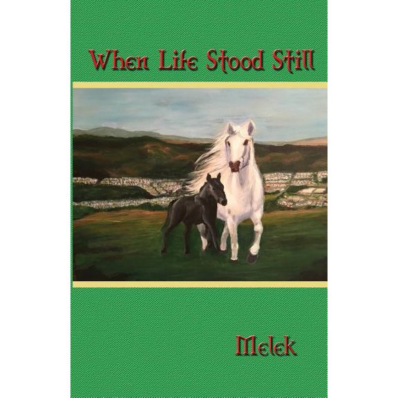 When Life Stood Still, (Paperback)