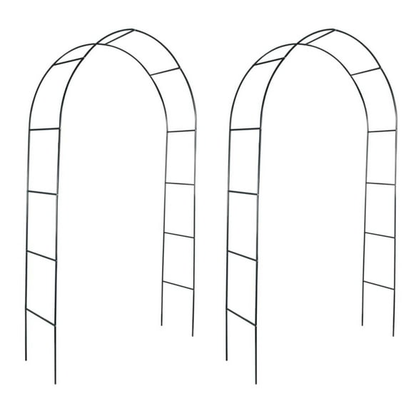 xidaXL Garden Arch 2 pcs Climbing Plants, 40776