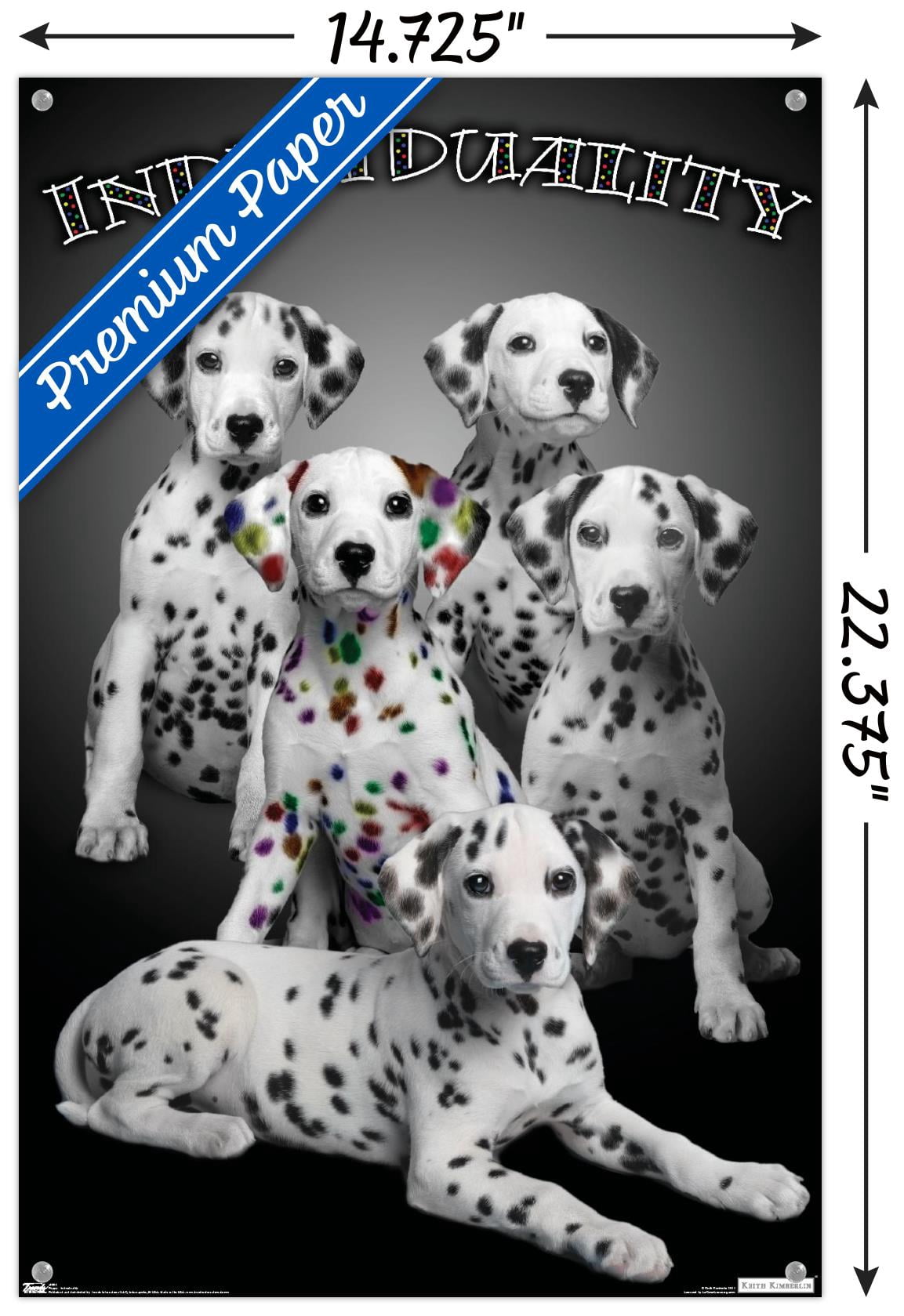 Keith Kimberlin - Dalmatian Puppies with Colored Spots - IndiViduality Wall Poster with Push Pins, 14.725" x 22.375"