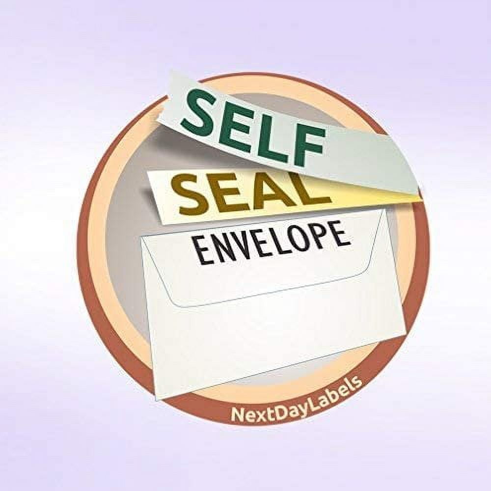 100 Self Seal Envelopes Only - Designed for 4-Up W-2 Forms