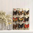 thumbnail image 2 of Qisvanset 12x16 Inch 2D Flat Framed Canvas Art, Vintage Botanical Moth Insect Tree Rustic Antique Farmhouse Wall Art, 2 of 5