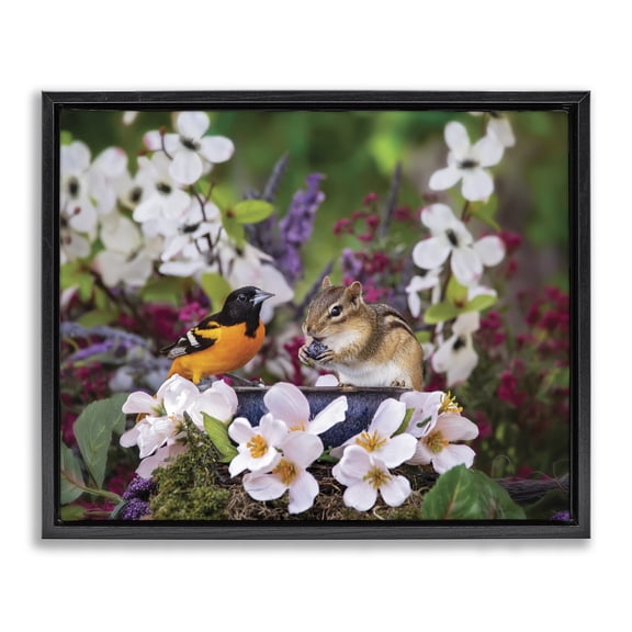 Stupell Industries Rustic Lodge Squirrel & Bird in Nature Black Floating Frame Canvas Art, 21 x 17, by Karen Burke