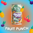 thumbnail image 4 of Roxberry Fruit & Veggie Fizz for Kids, Ocean Potion Fruit Punch, Sparkling Juice, 7.5 Fl Oz, No Artificial Stuff! - 24 Count Case, 4 of 6