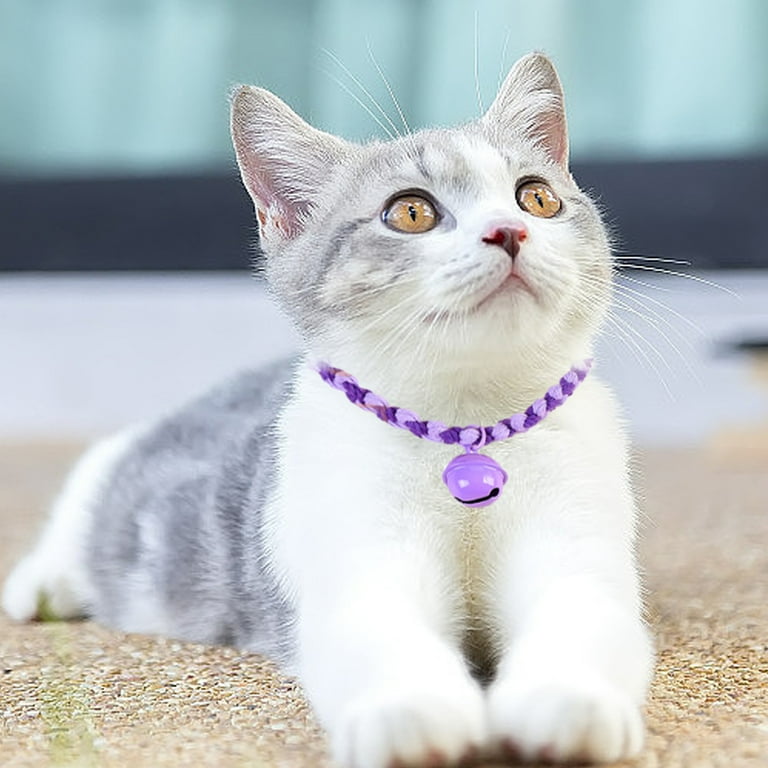 Cotton cat collar online