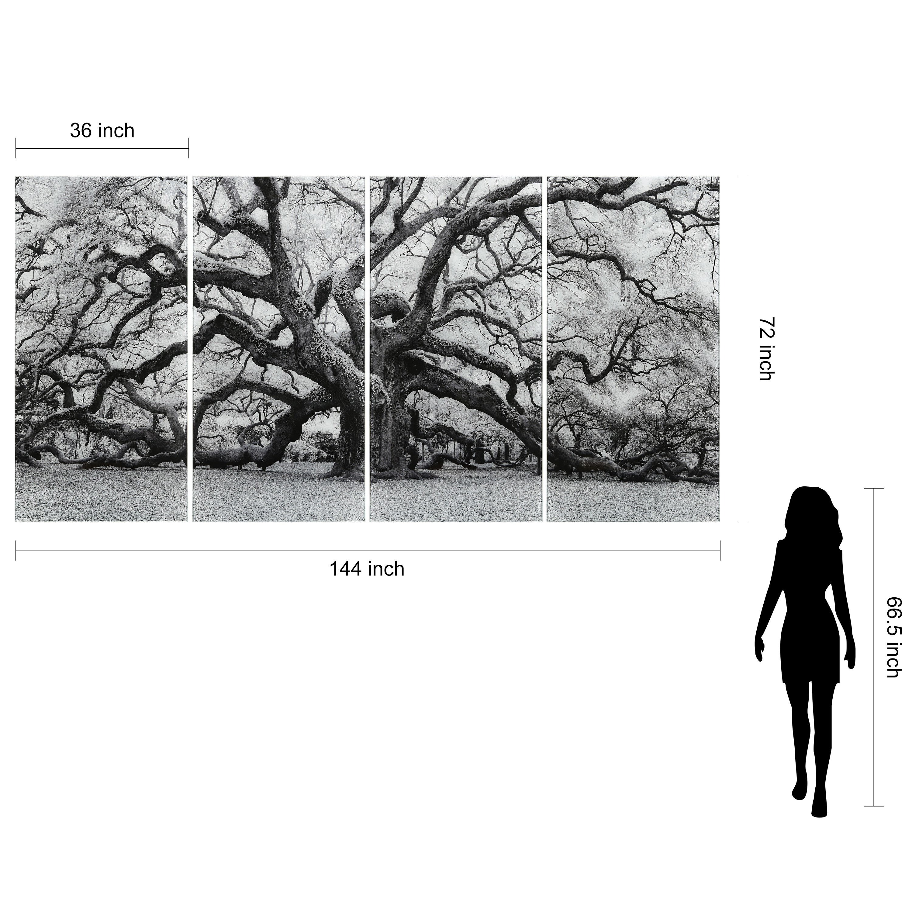 Growth ABCD 36 in x 72 in Mixed Media Art, by Empire Art 4 Count