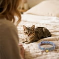 thumbnail image 3 of Pet Collars For Cats Breakaway Pendant Adjustable Safe Fit Suitable For Indoor Outdoor Use, 3 of 4