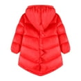 thumbnail image 2 of HILEELANG Toddler Boy Girl (12M-7Y) Winter Puffer Jackets Coats Christmas Red Dinosaur Hooded Light Weight Padded Outerwear 2-3T, 2 of 9