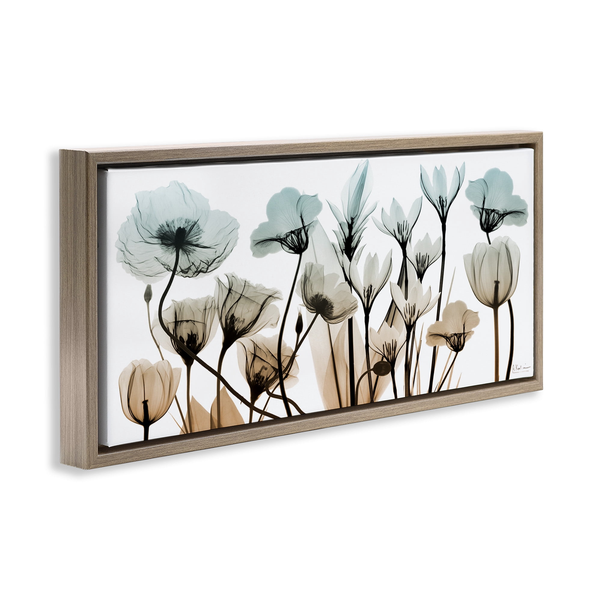 Stupell Industries Mixed Transparent Flowers Botanical & Floral Photography Brown Floater Framed Canvas Art Print Wall Art, 25 x 11