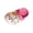 Hot Pink, variant on Lusa Summer Cute Beach Lightweight Kids Slippers with Holes and 3D Design of Rabbits & Carrots Boys and Girls Casual Thick-Soled Non- Sandals for Outdoor Play Wear White 10-11 Years