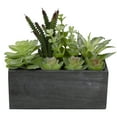 thumbnail image 4 of Northlight 10" Artificial Mixed Succulent Plants in a Rectangular Planter, 4 of 5